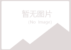 白银夏岚保险有限公司